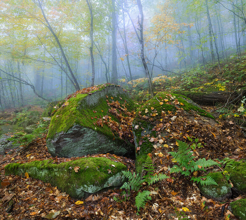 Emerald Forest - New Hampshire Mountains - Streams - Lakes - & Rivers