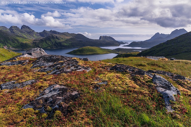 Mossy Plateau - Norway