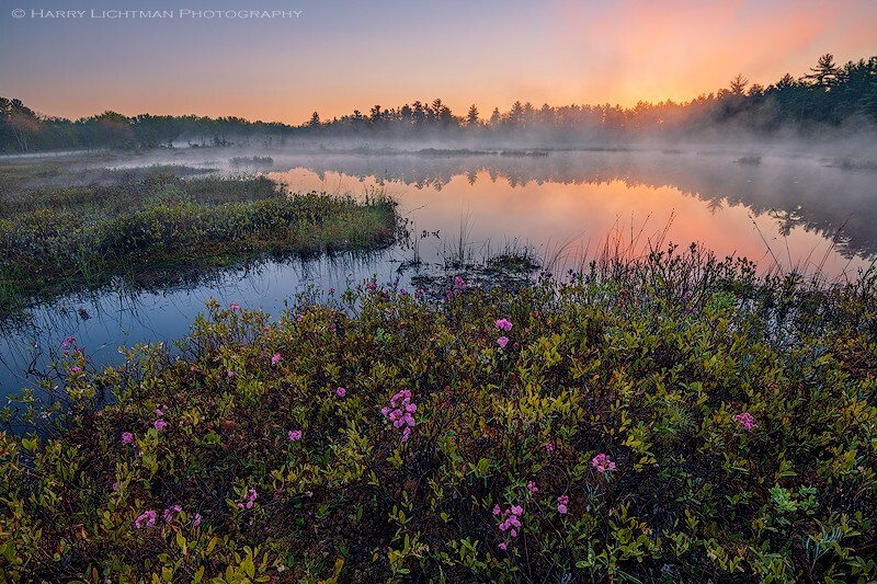Spring Emerges - New Hampshire Seacoast