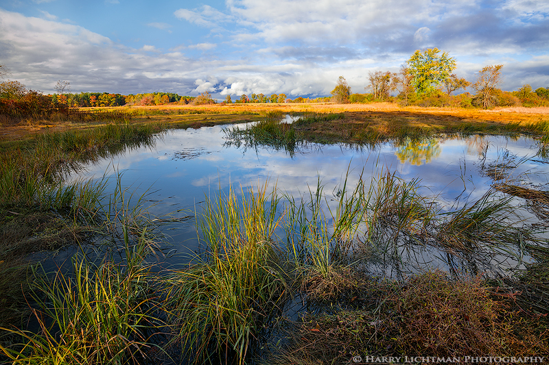 Autumn on the Salt Marsh