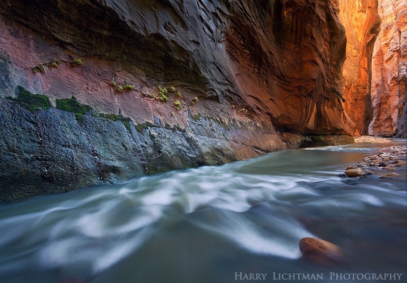 Into the Light I - Zion National Park