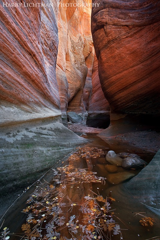 Autumn's Echo - Slot Canyon Abstracts