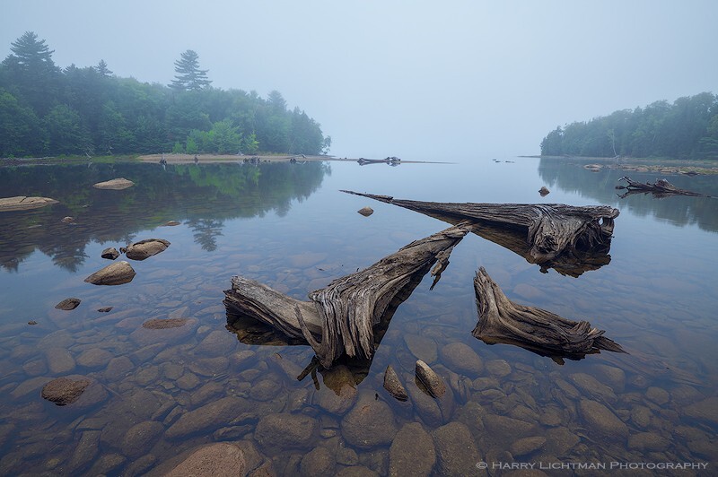 Fog Infusion - Maine Coast & Mountains