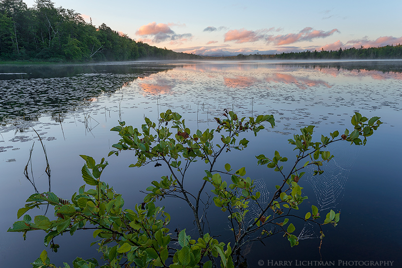 Bear Brook Confluence - New Hampshire Mountains - Streams - Lakes - & Rivers
