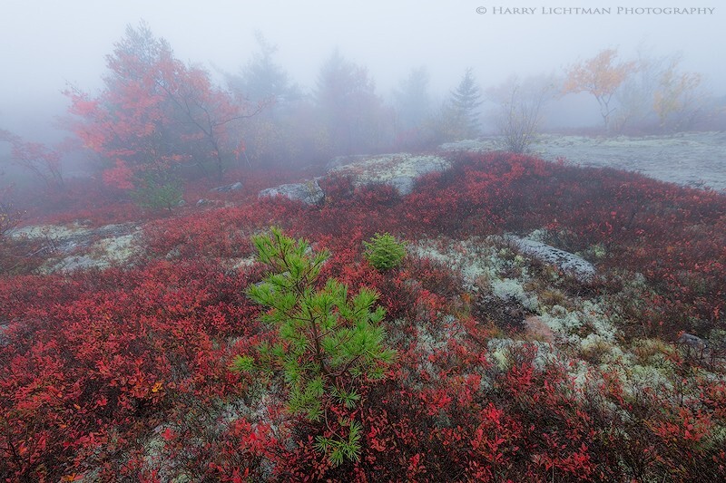 Lost in a Fog - New Hampshire Mountains - Streams - Lakes - & Rivers