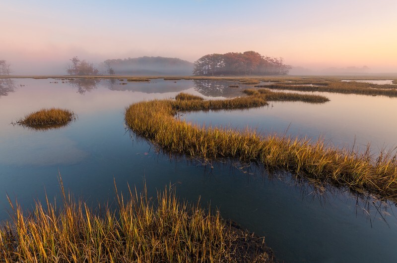 Fogged In - New Hampshire Seacoast