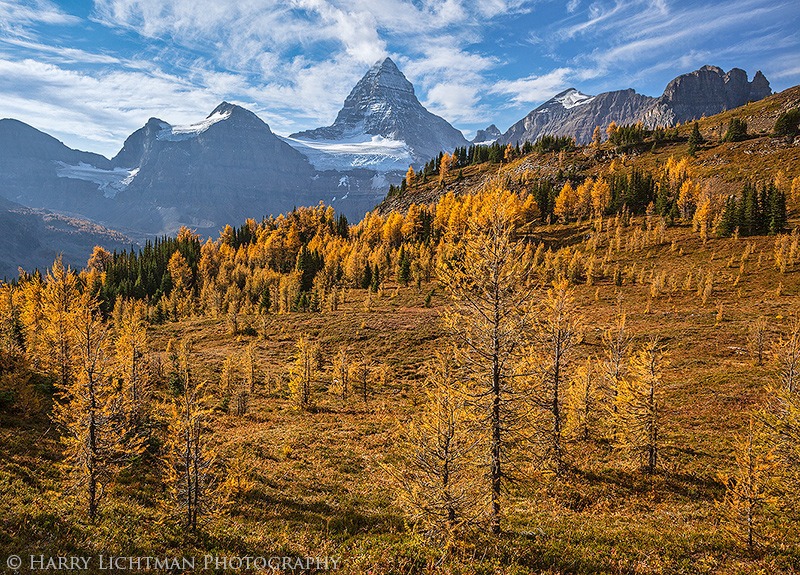 The Meadows - Autumn's Splendor 2014: Jasper, Yoho, Banff, Assiniboine, Lake Louise