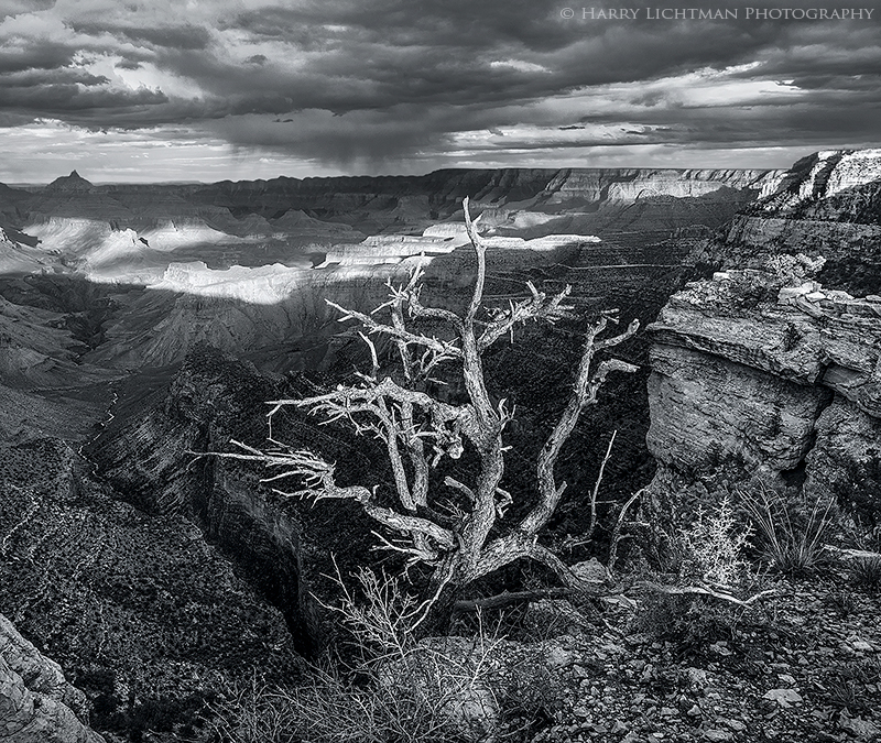 The Edge - Grand Canyon - South Rim