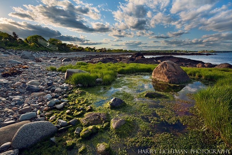 Electric Coast - New Hampshire Seacoast