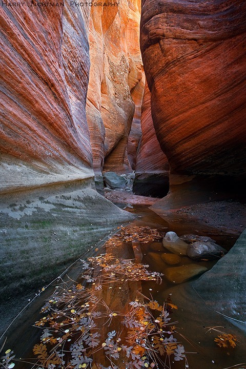 Echo Canyon - Zion National Park
