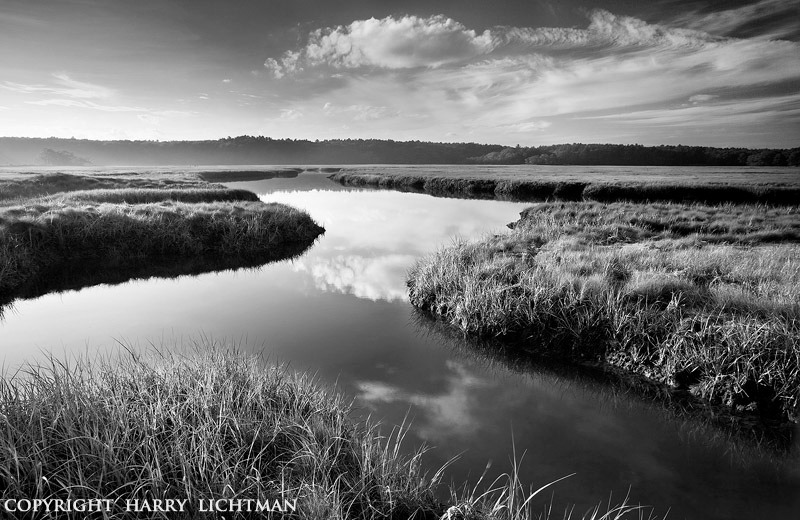 Rye Marsh - Black & White