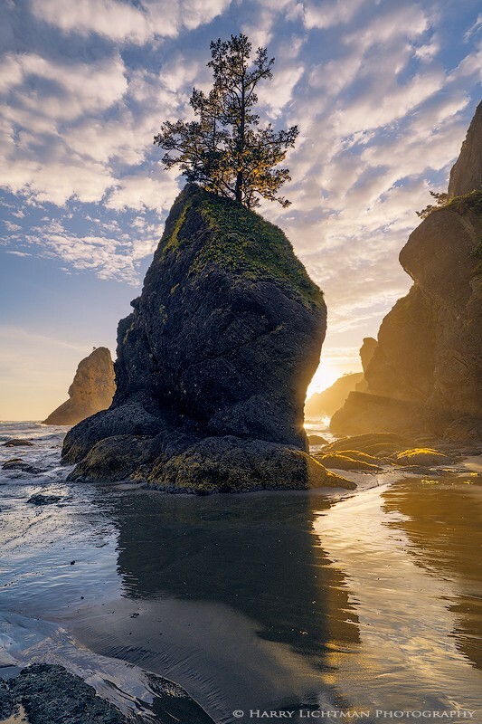 The Pillar - Olympic National Park