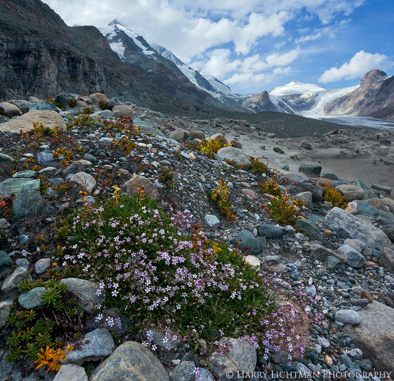 Grossglockner Valley II - Austria - The Wild Landscape