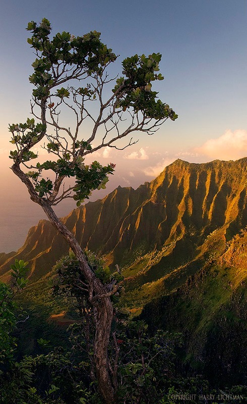 Evening Kalalau Valley - Kauai
