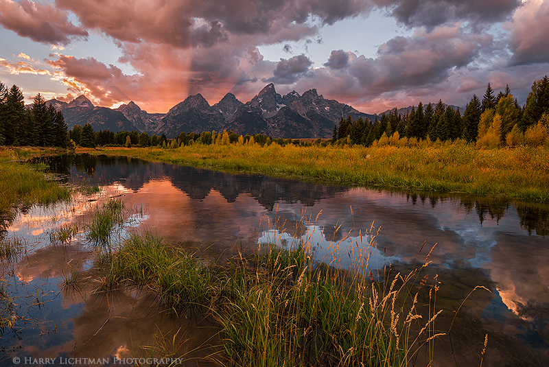 Teton Gold - Grand Teton - Autumn