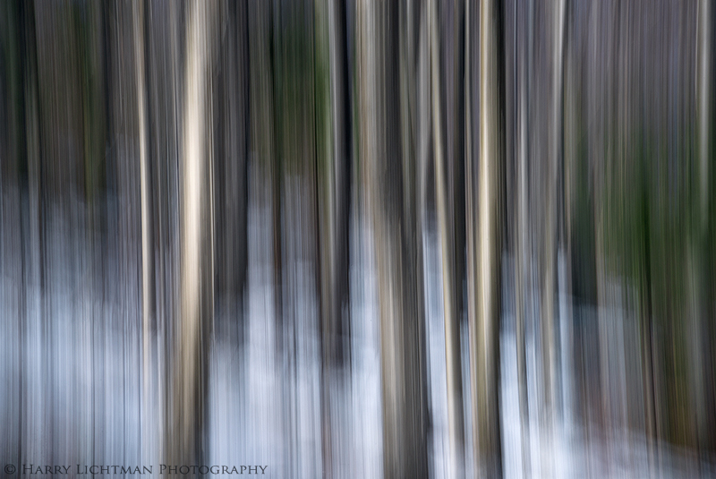 Winter Birch Abstract - Waterville Valley - New Hampshire Mountains - Streams - Lakes - & Rivers