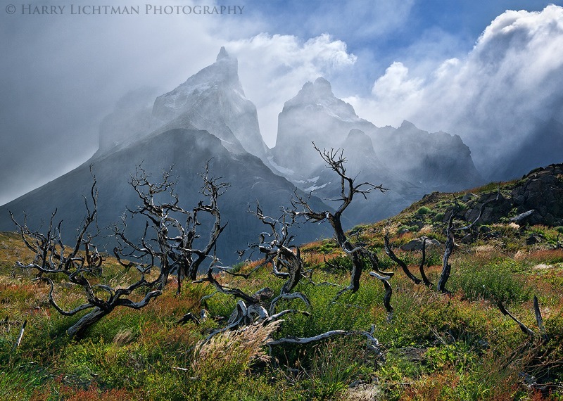 Renewal - Torres del Paine - Torres del Paine National Park