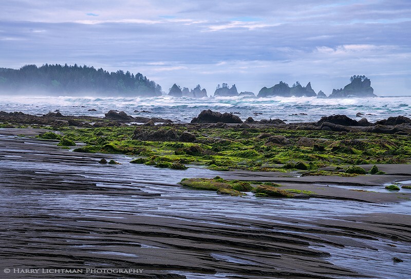 Shi Shi Beach Pinnacles - Olympic National Park