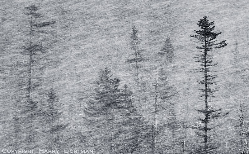 White Out ! - Black & White