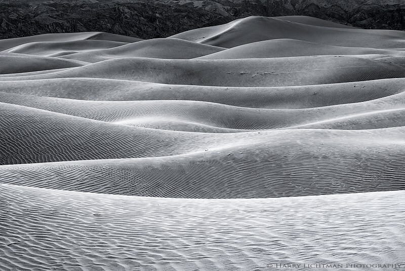 Intertwined - Death Valley National Park