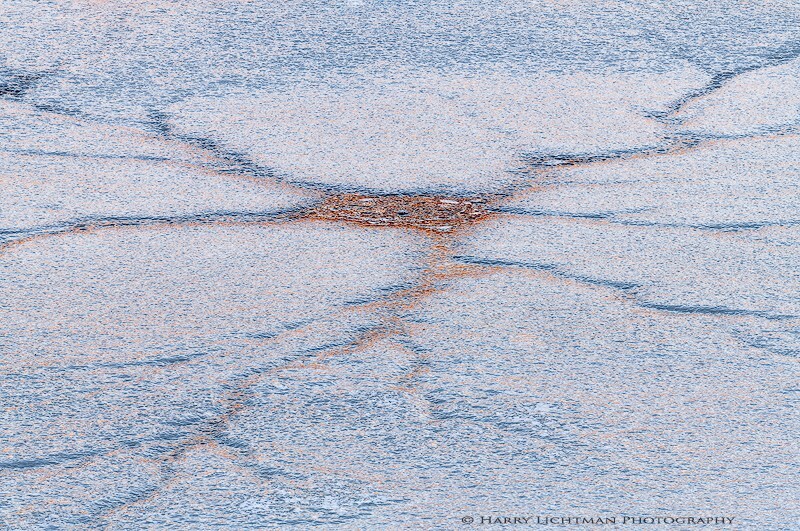 Neuron - New Hampshire Seacoast
