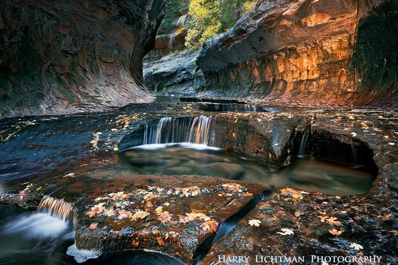 Golden Cascades - Zion National Park