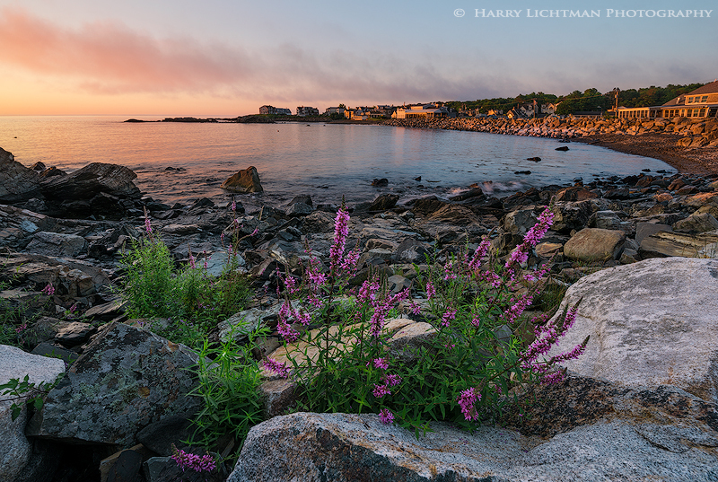 Oarweed Cove - Maine Coast & Mountains