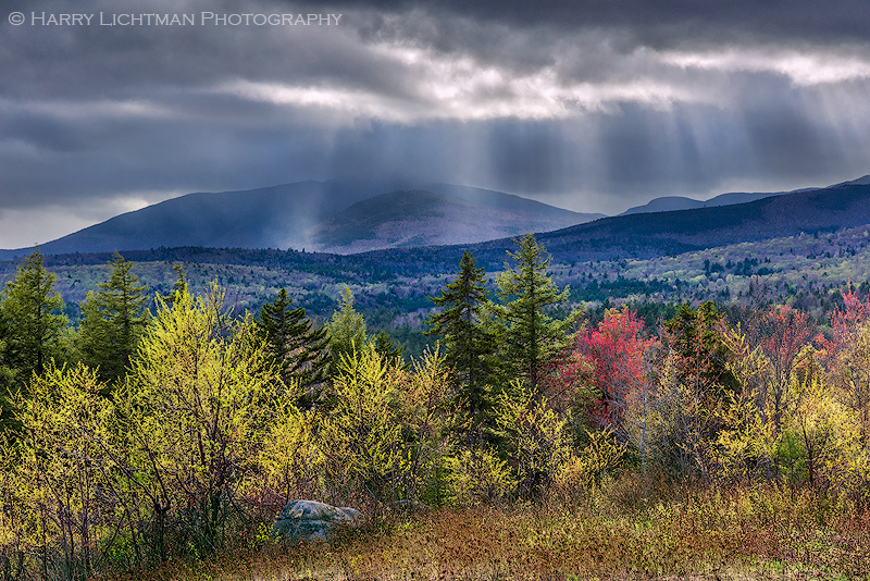 Paugus Spring Showers - New Hampshire Mountains - Streams - Lakes - & Rivers
