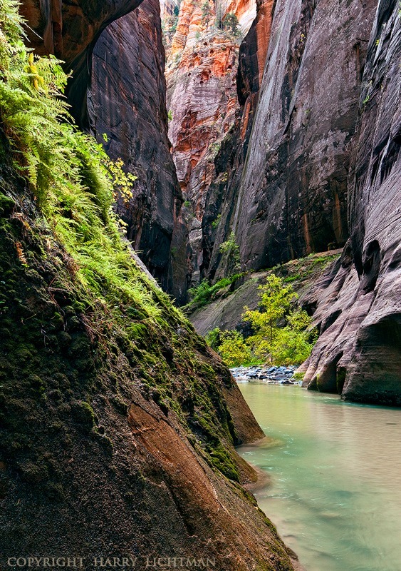 Prehistoric Passage - Zion National Park