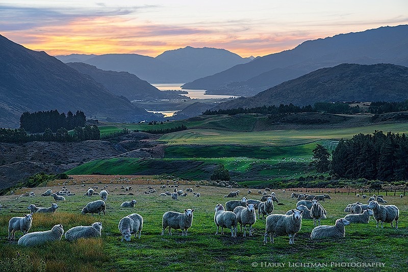 Wakatipu Twilight - New Zealand South Island