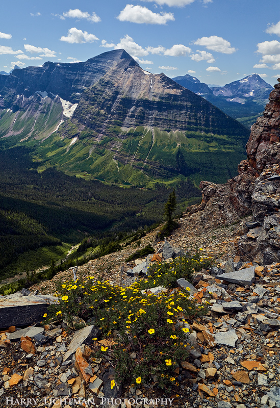 Mount Phillips - Glacier National Park
