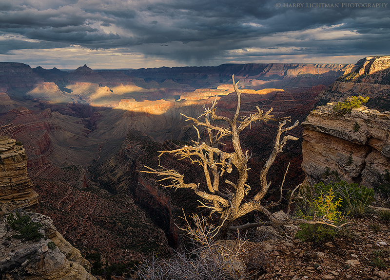 Hance Canyon Storm - Grand Canyon - South Rim