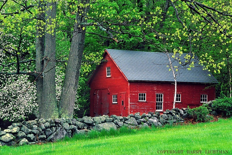 Durham Spring - New Hampshire Seacoast