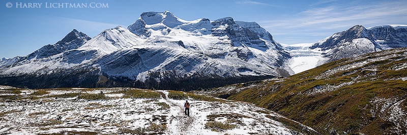 Wilcox Pass Panorama - From the Trail