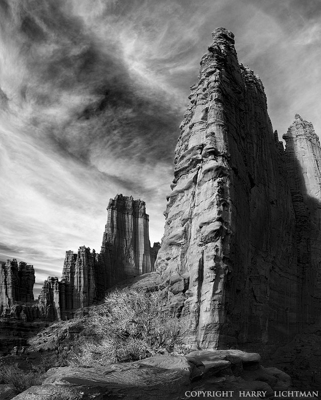 Mighty Titan - Black & White