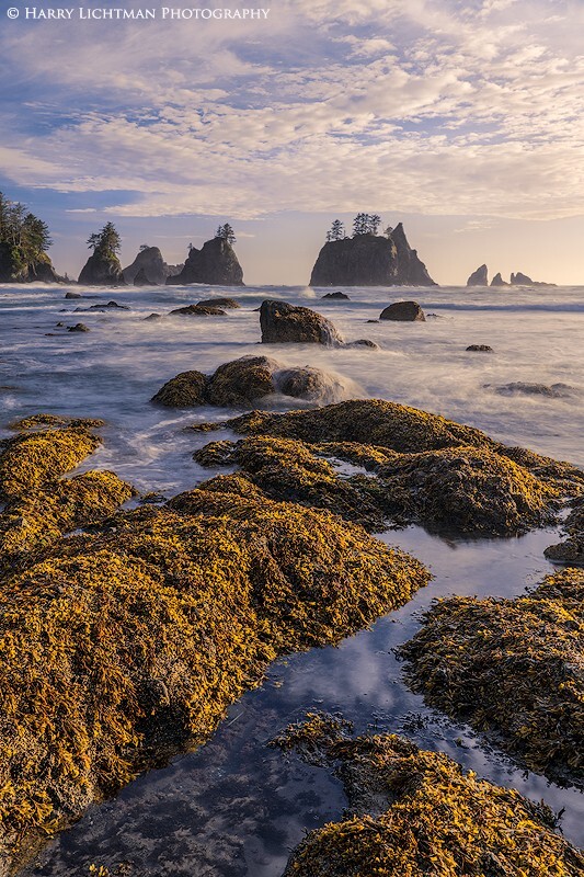Land's End - Olympic National Park