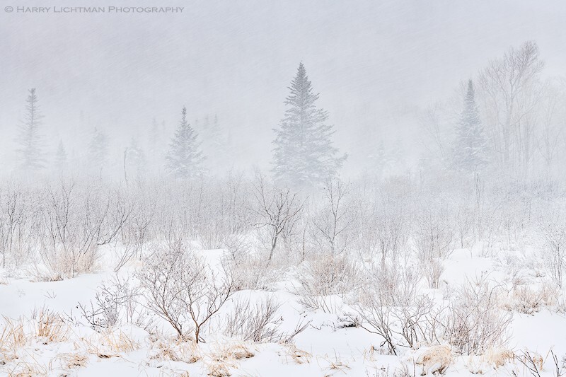 Winter's Embrace - New Hampshire Mountains - Streams - Lakes - & Rivers