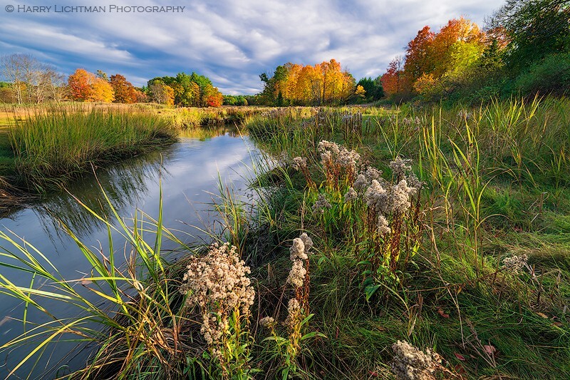 Marsh Transitions - New Hampshire Seacoast