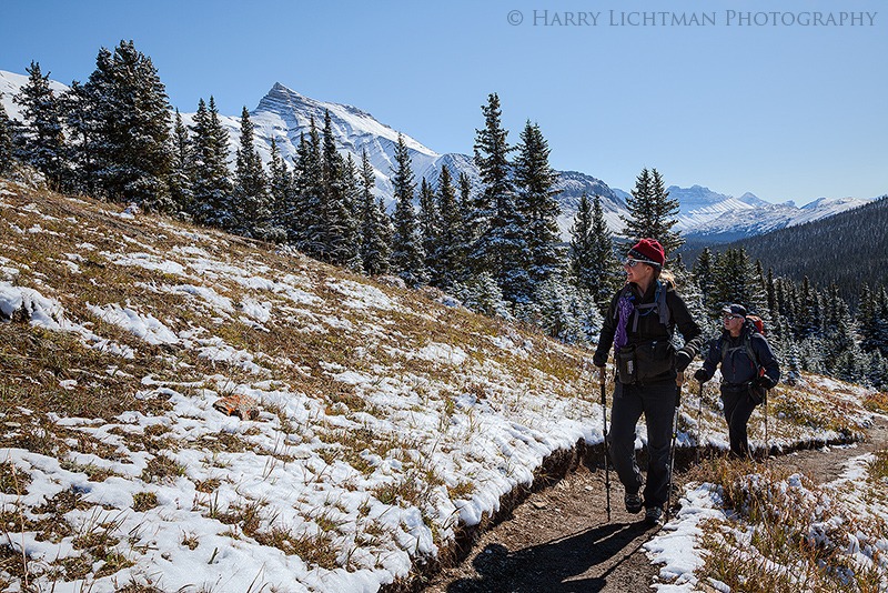 Wilcox Pass - From the Trail