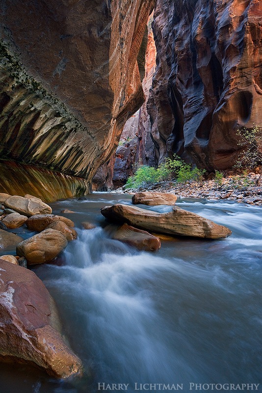 Deep Within - Zion National Park