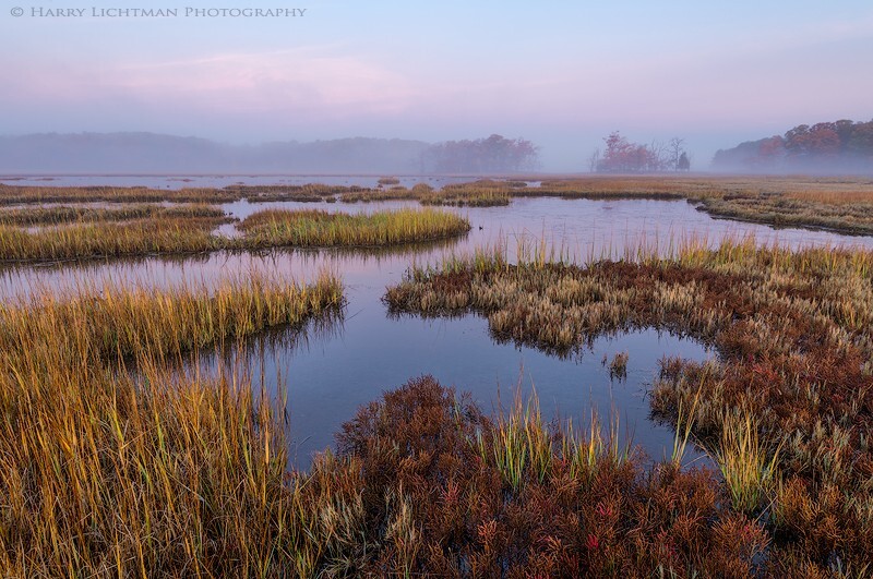 Coastal Marsh & Fog - New Hampshire Seacoast