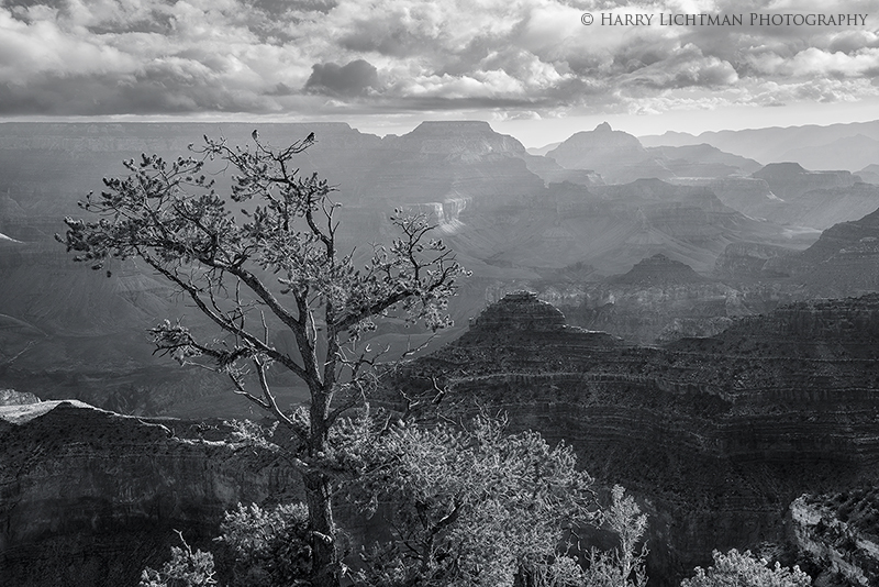 Solitude - Grand Canyon - South Rim