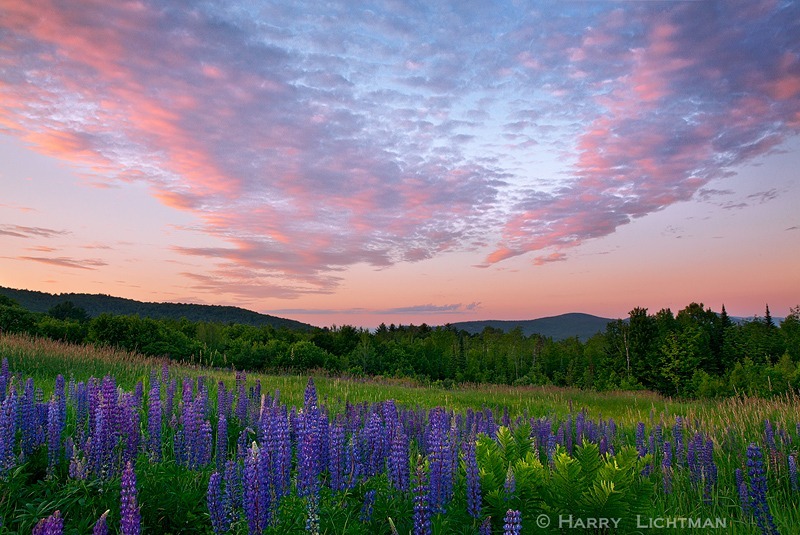 Summer's Arrival - New Hampshire Mountains - Streams - Lakes - & Rivers