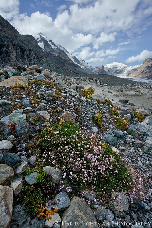Grossglockner Valley I - Austria - The Wild Landscape