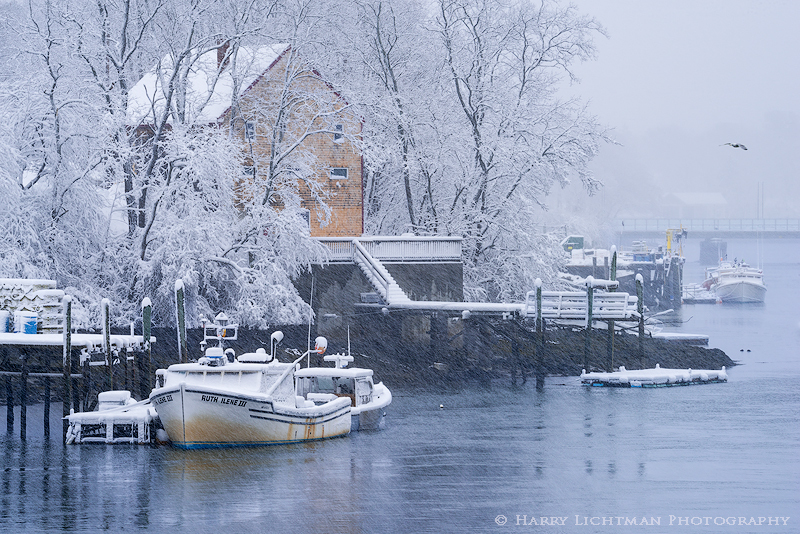 Kittery Foreside - Snow Day - Maine Coast & Mountains