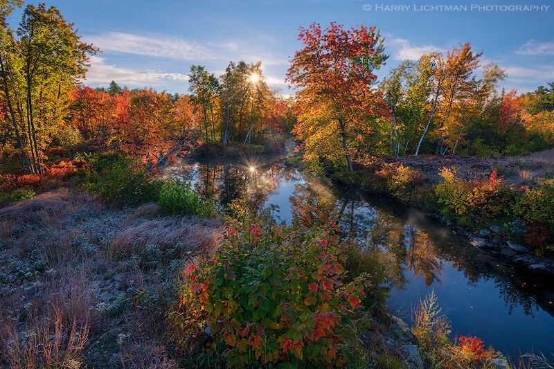 Marshlands - New Hampshire Seacoast