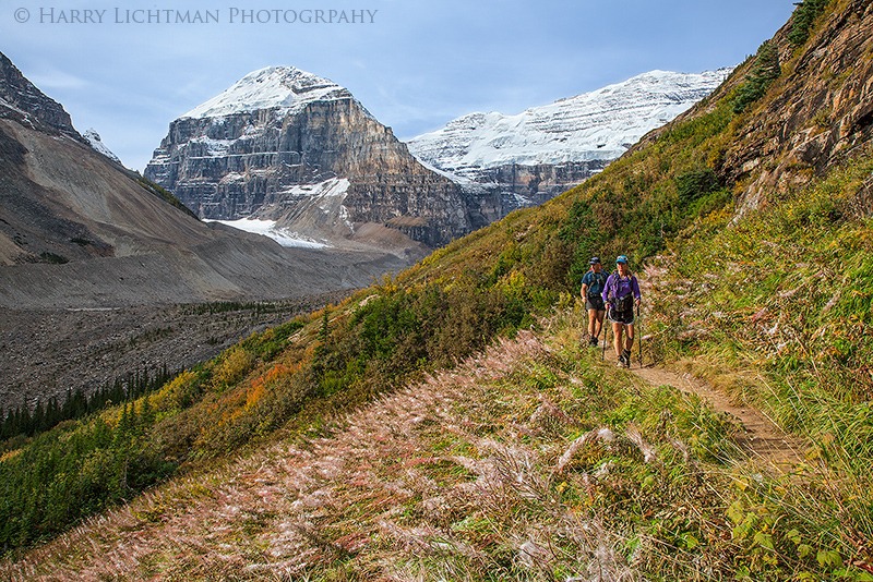 Plane of Six Glaciers - From the Trail