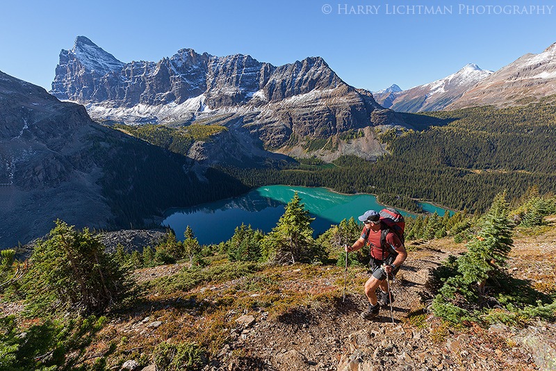Wiwaxy Gap Trail - From the Trail