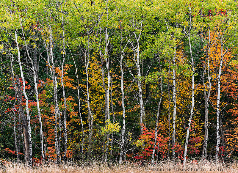 Transition - New Hampshire Mountains - Streams - Lakes - & Rivers