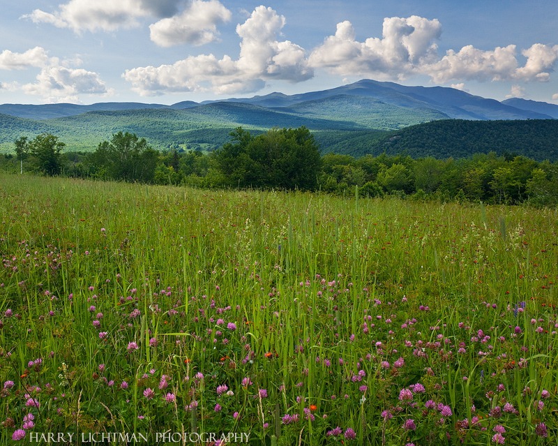 Presidential Terrace - New Hampshire Mountains - Streams - Lakes - & Rivers